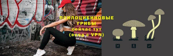 PSILOCYBIN Верхний Тагил