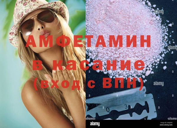соль ск Тайга