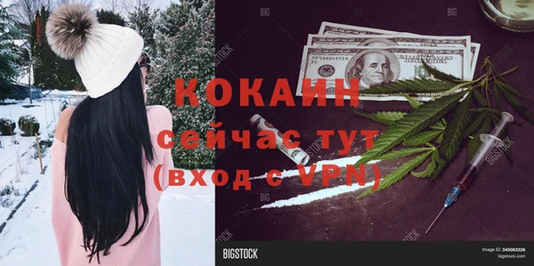 PSILOCYBIN Верхний Тагил