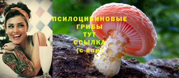 PSILOCYBIN Верхний Тагил