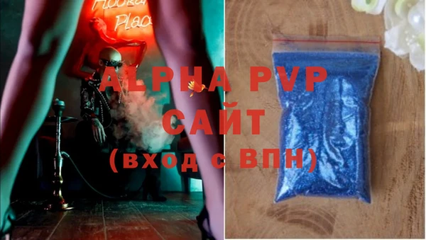 PSILOCYBIN Верхний Тагил