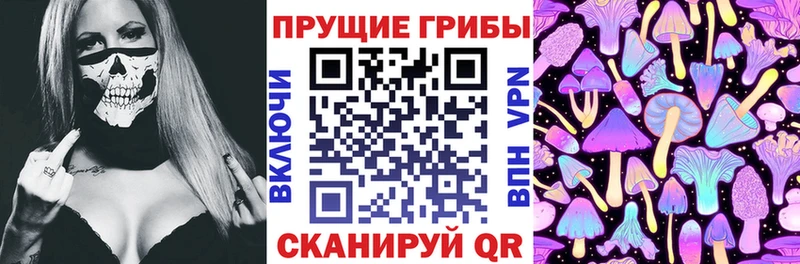 что такое наркотик  Наро-Фоминск  Псилоцибиновые грибы Cubensis 